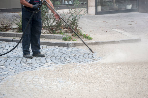 Best Spring Cleaning  in Crestwood, IL